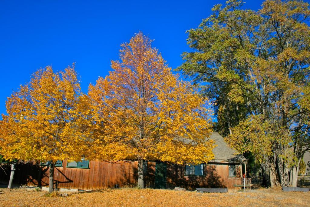 Old Pioneer Garden Country Inn Unionville Dış mekan fotoğraf